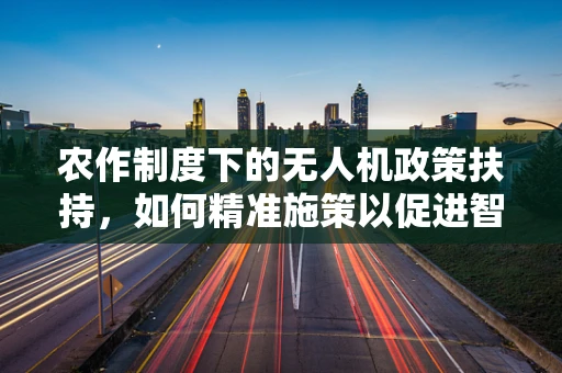 农作制度下的无人机政策扶持，如何精准施策以促进智慧农业发展？
