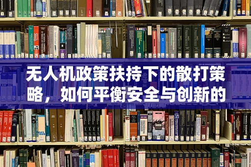 无人机政策扶持下的散打策略，如何平衡安全与创新的边界？