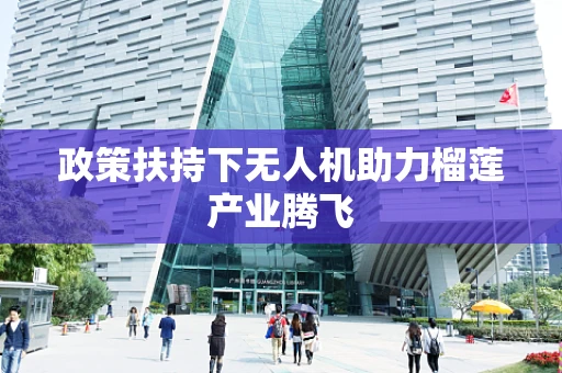 政策扶持下无人机助力榴莲产业腾飞