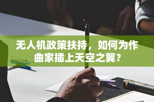 无人机政策扶持，如何为作曲家插上天空之翼？