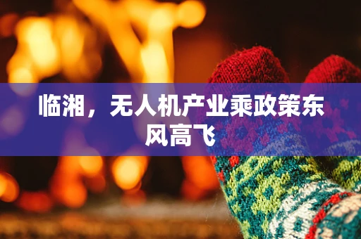 临湘，无人机产业乘政策东风高飞