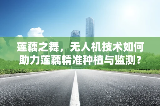 莲藕之舞，无人机技术如何助力莲藕精准种植与监测？