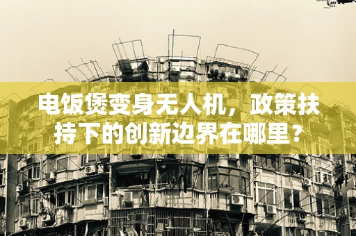 电饭煲变身无人机，政策扶持下的创新边界在哪里？