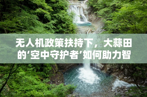 无人机政策扶持下，大蒜田的‘空中守护者’如何助力智慧农业？