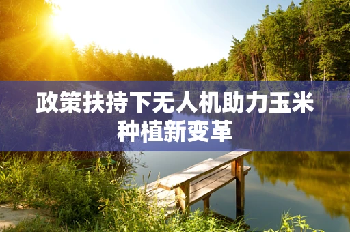 政策扶持下无人机助力玉米种植新变革