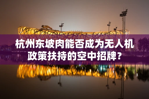 杭州东坡肉能否成为无人机政策扶持的空中招牌？