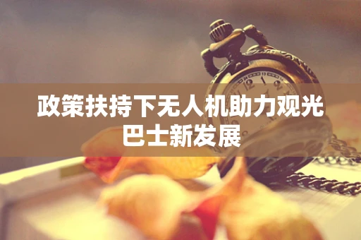 政策扶持下无人机助力观光巴士新发展