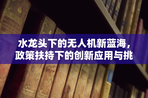 水龙头下的无人机新蓝海，政策扶持下的创新应用与挑战