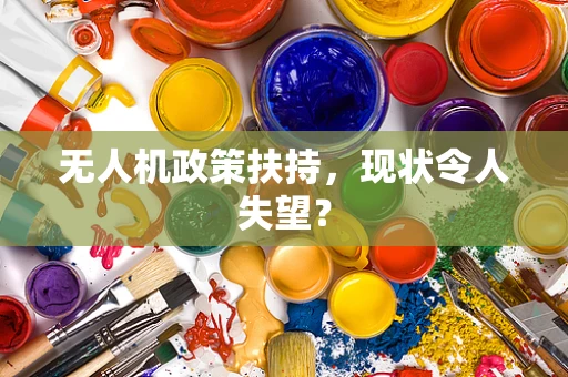 无人机政策扶持，现状令人失望？