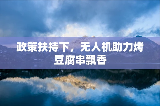 政策扶持下，无人机助力烤豆腐串飘香
