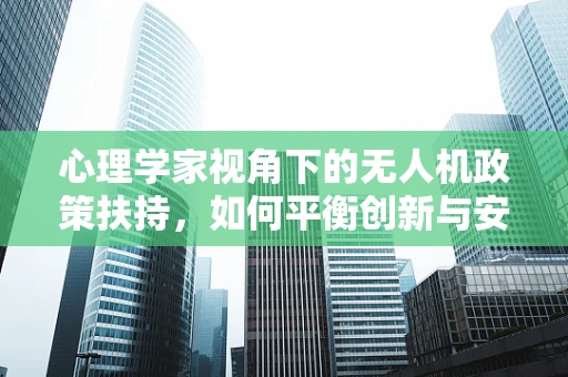 心理学家视角下的无人机政策扶持，如何平衡创新与安全？