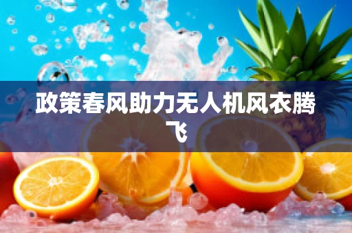 政策春风助力无人机风衣腾飞