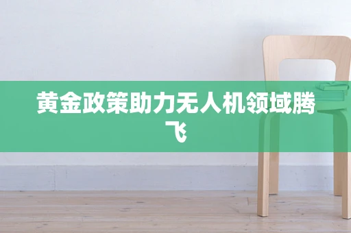 黄金政策助力无人机领域腾飞