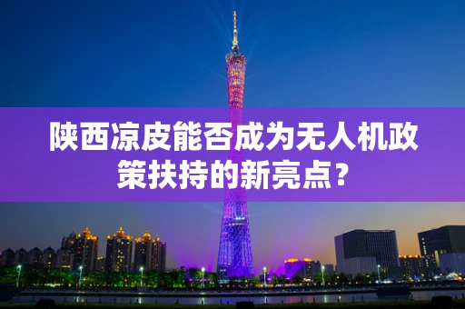 陕西凉皮能否成为无人机政策扶持的新亮点？