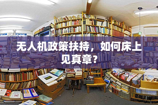 无人机政策扶持，如何床上见真章？