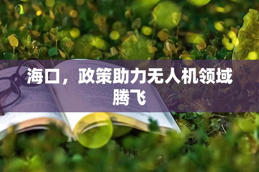 海口，政策助力无人机领域腾飞