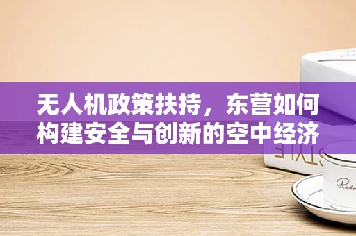 无人机政策扶持，东营如何构建安全与创新的空中经济？