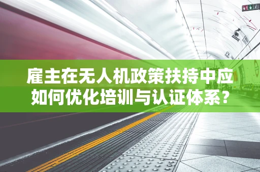 雇主在无人机政策扶持中应如何优化培训与认证体系？