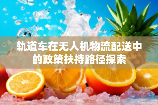 轨道车在无人机物流配送中的政策扶持路径探索