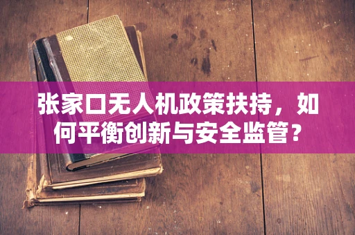 张家口无人机政策扶持，如何平衡创新与安全监管？