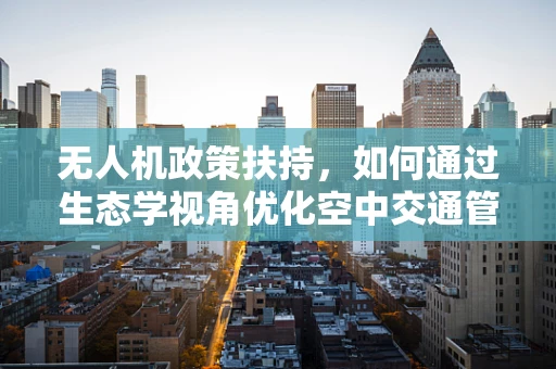 无人机政策扶持，如何通过生态学视角优化空中交通管理？