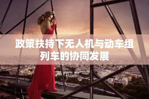 政策扶持下无人机与动车组列车的协同发展