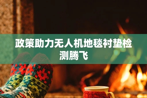 政策助力无人机地毯衬垫检测腾飞