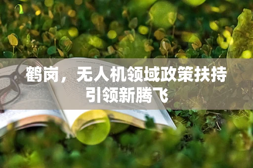 鹤岗，无人机领域政策扶持引领新腾飞