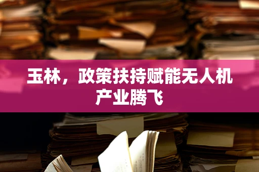 玉林，政策扶持赋能无人机产业腾飞