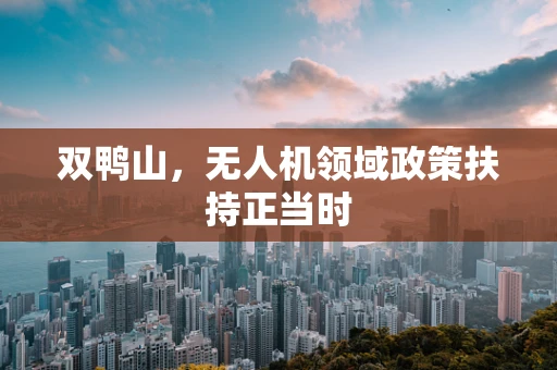 双鸭山，无人机领域政策扶持正当时