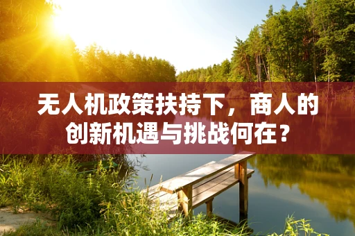 无人机政策扶持下，商人的创新机遇与挑战何在？