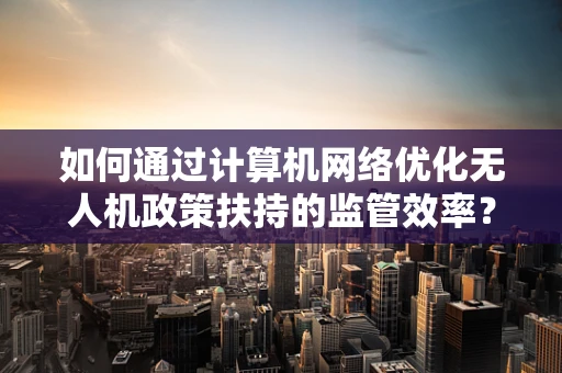 如何通过计算机网络优化无人机政策扶持的监管效率？