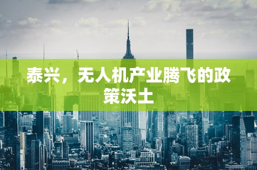 泰兴，无人机产业腾飞的政策沃土