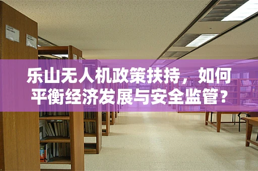 乐山无人机政策扶持，如何平衡经济发展与安全监管？