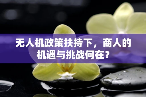 无人机政策扶持下，商人的机遇与挑战何在？