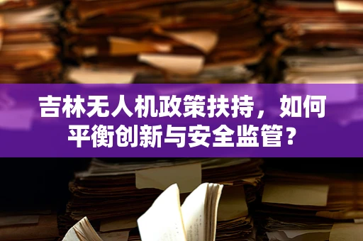 吉林无人机政策扶持，如何平衡创新与安全监管？