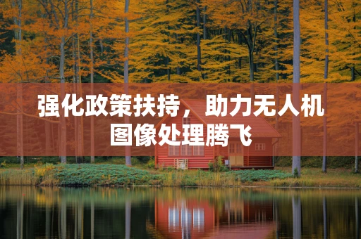 强化政策扶持，助力无人机图像处理腾飞