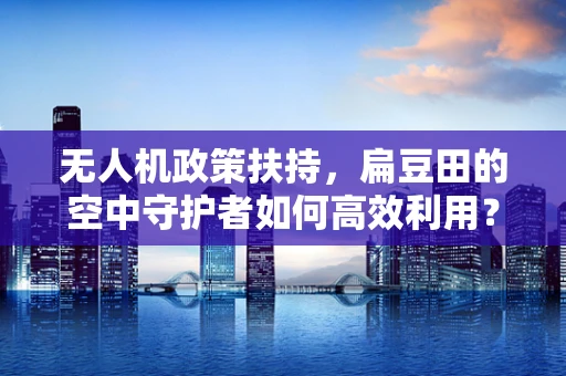 无人机政策扶持，扁豆田的空中守护者如何高效利用？