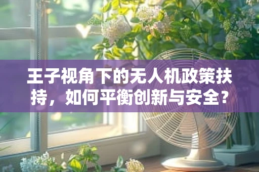王子视角下的无人机政策扶持，如何平衡创新与安全？