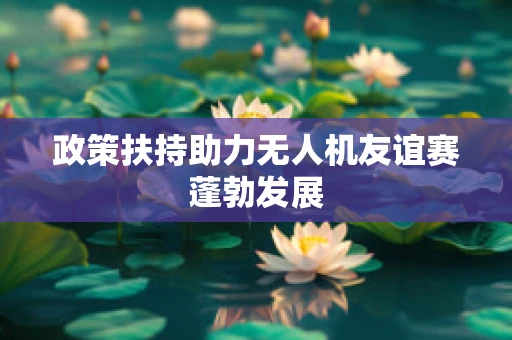 政策扶持助力无人机友谊赛蓬勃发展