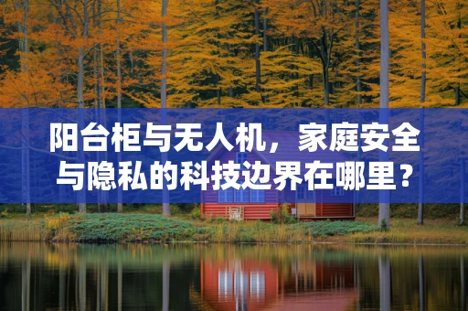 阳台柜与无人机，家庭安全与隐私的科技边界在哪里？