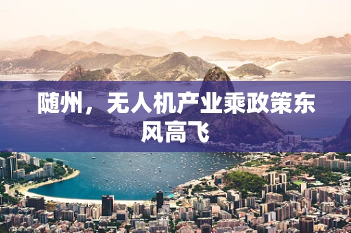 随州，无人机产业乘政策东风高飞