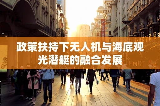政策扶持下无人机与海底观光潜艇的融合发展