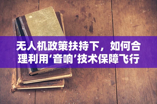 无人机政策扶持下，如何合理利用‘音响’技术保障飞行安全？