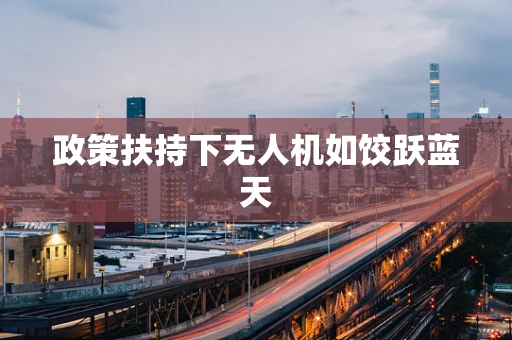 政策扶持下无人机如饺跃蓝天