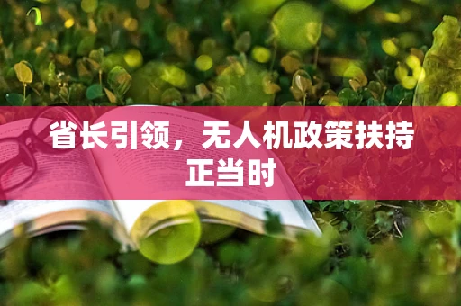 省长引领，无人机政策扶持正当时
