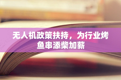 无人机政策扶持，为行业烤鱼串添柴加薪