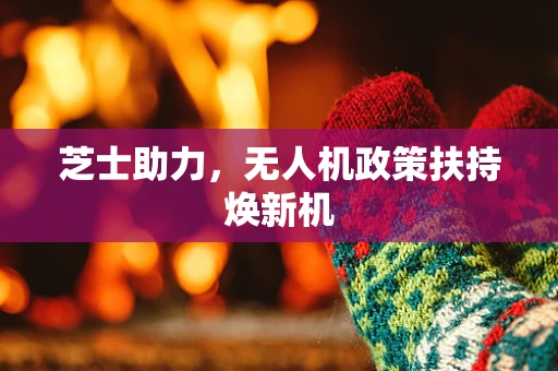 芝士助力，无人机政策扶持焕新机