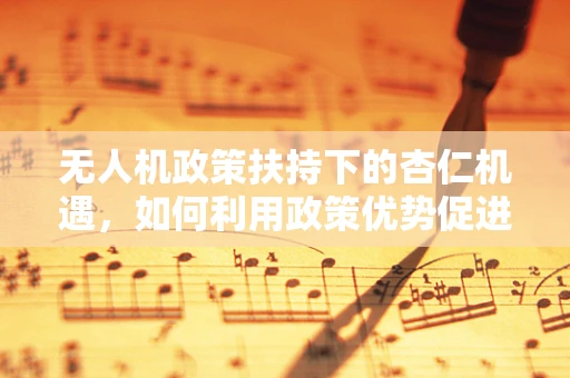 无人机政策扶持下的杏仁机遇，如何利用政策优势促进其应用？