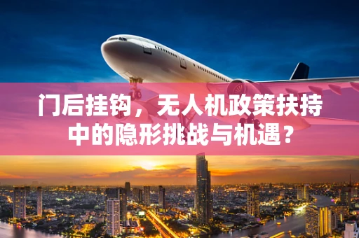 门后挂钩，无人机政策扶持中的隐形挑战与机遇？